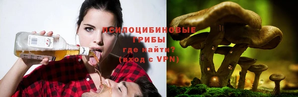 твердый Балахна