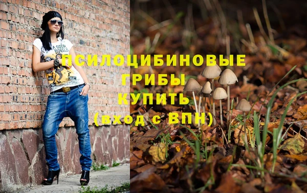 твердый Балахна