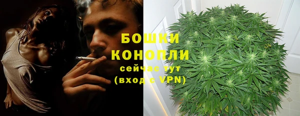 мескалин Горнозаводск