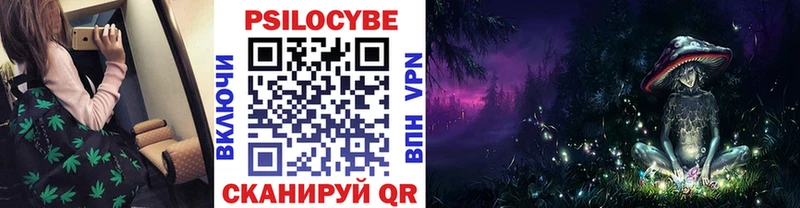 mega зеркало  Семилуки  Псилоцибиновые грибы Cubensis 