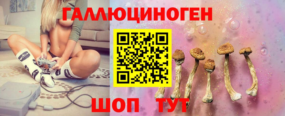 как найти   Галлюциногенные грибы Magic Shrooms  Семилуки  Вход с VPN  Псилоцибиновые грибы Magic Shrooms 